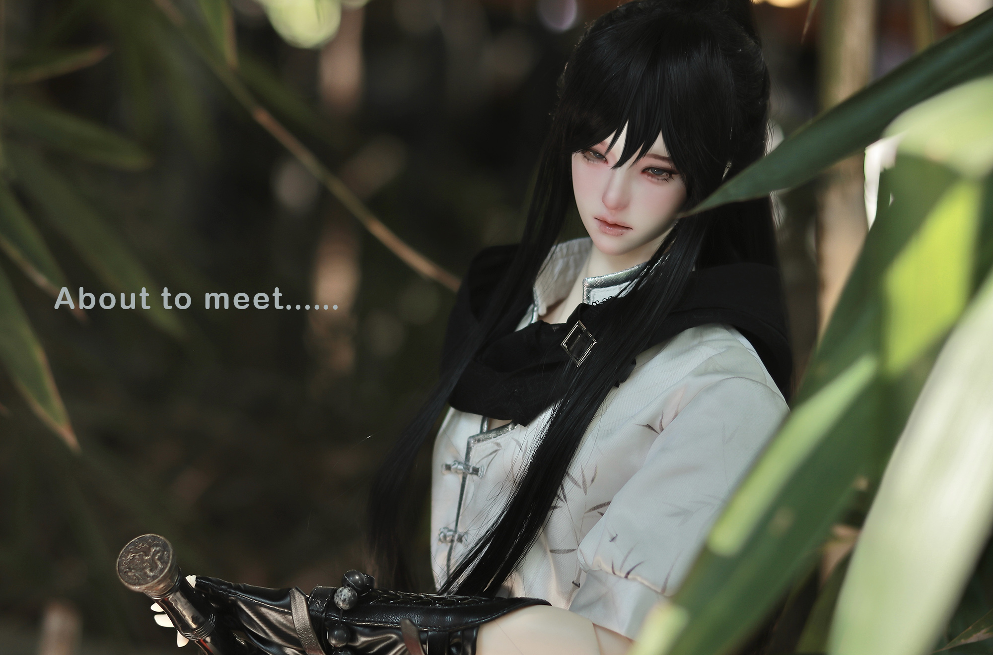 Leopard - Xun Jian, 72cm Telesthesia Boy - BJD, BJD Doll